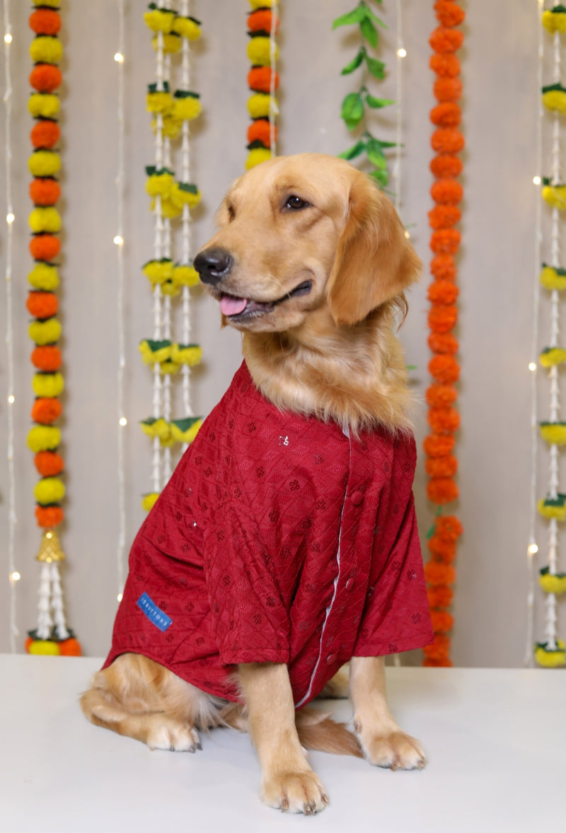 Red Dog Sherwani