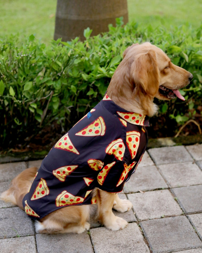 PIZZA PARTY
