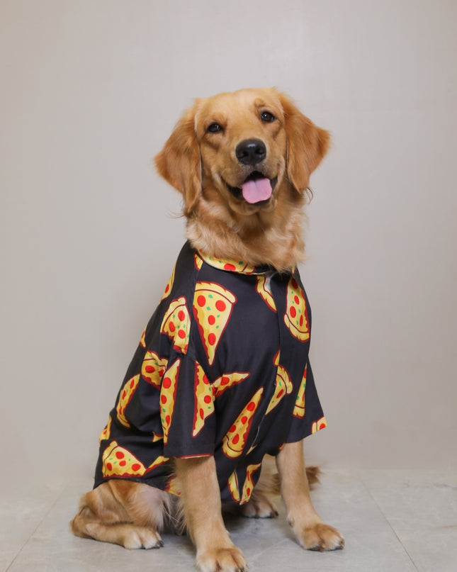 PIZZA PARTY