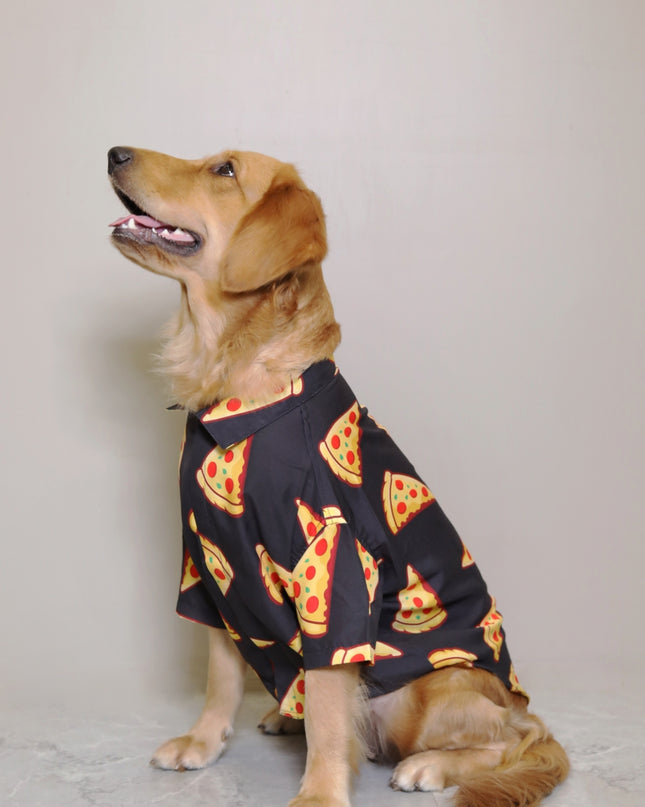 PIZZA PARTY