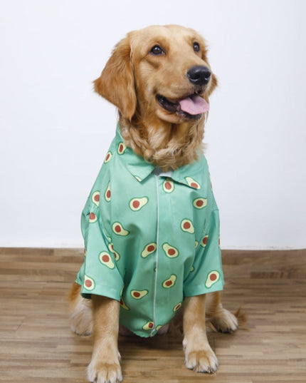 AVOCADO