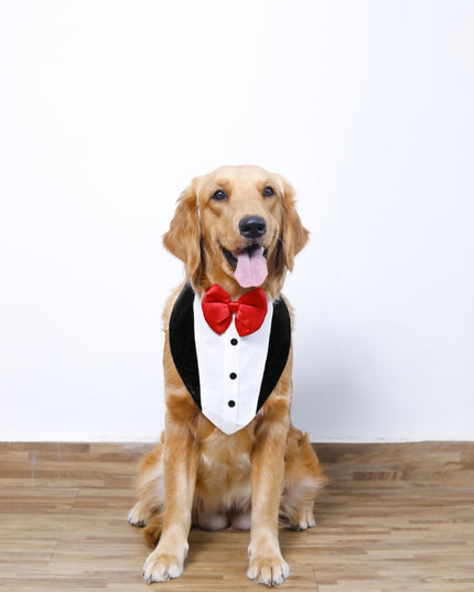 TUXEDO BANDANA