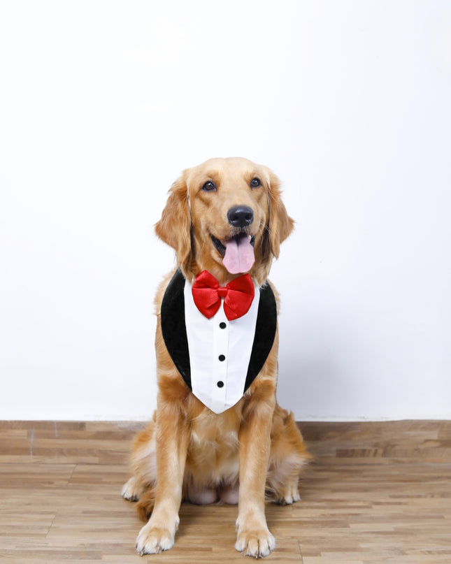 TUXEDO BANDANA