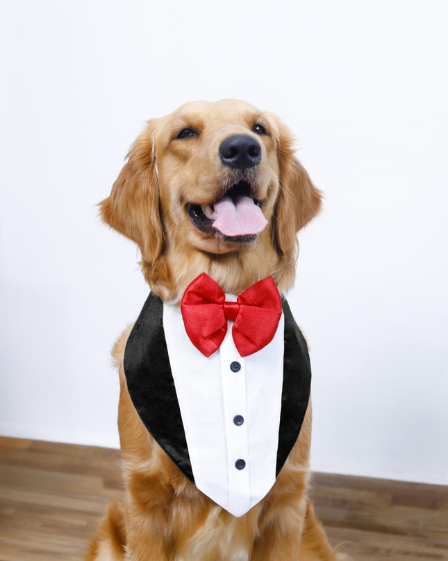 TUXEDO BANDANA