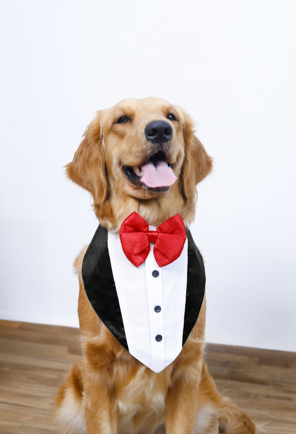 TUXEDO BANDANA