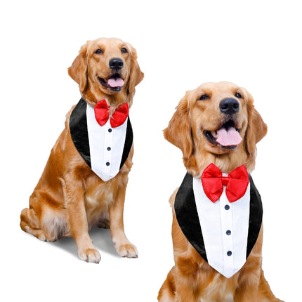Collection image for: Dog Bandanas