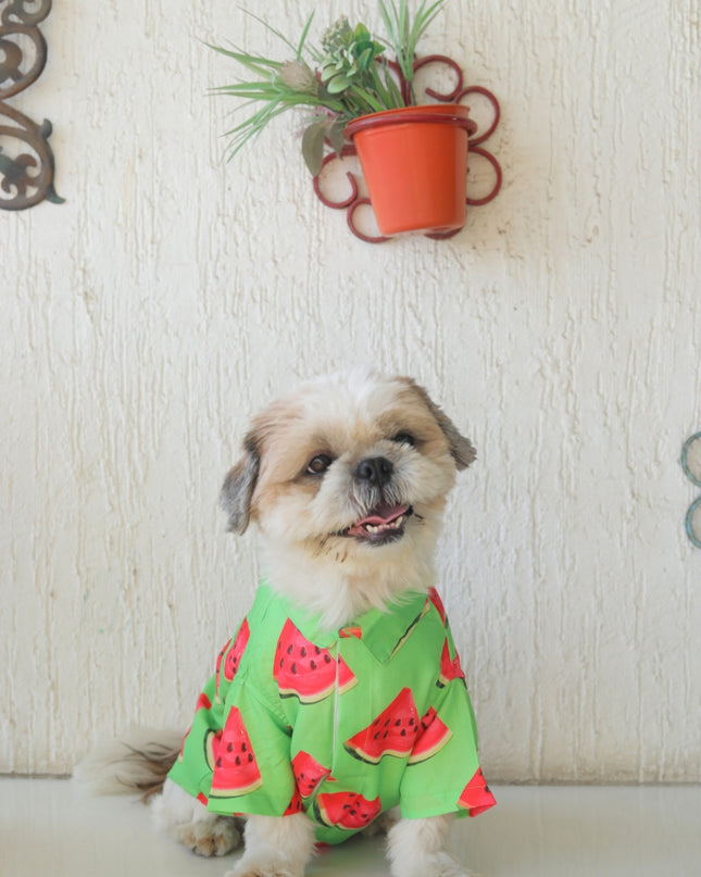 Watermelon Dog Shirt