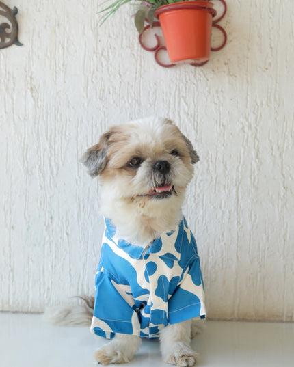 BLUE MOO