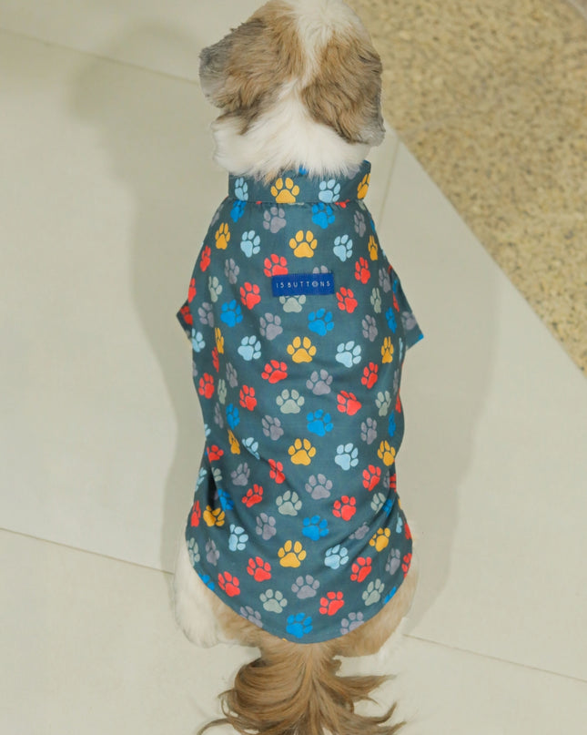 Pawsome Dog Shirt