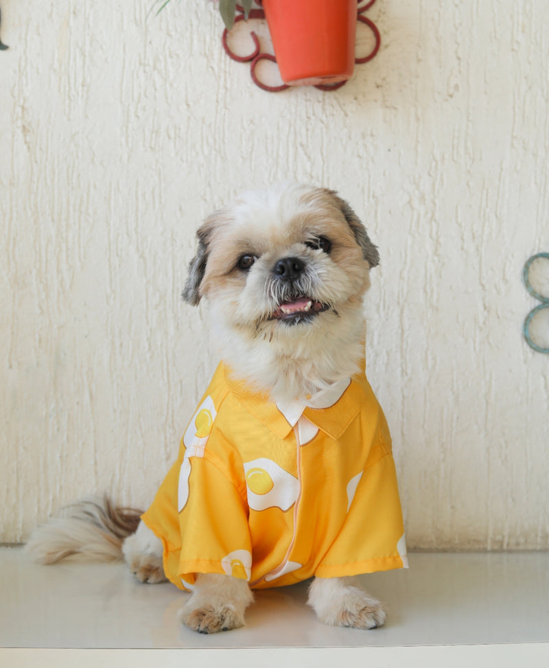 SUNNY SIDE UP