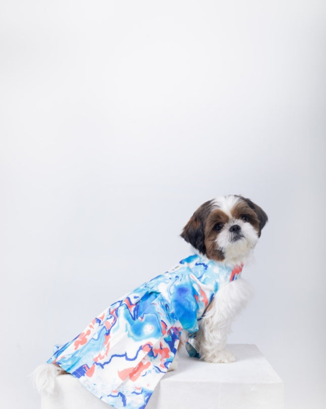 Fluid Art Dog Dress