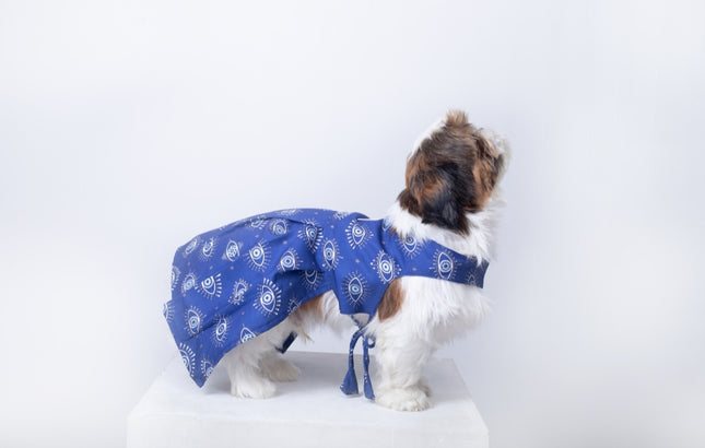 Evil Eye Dog Dress