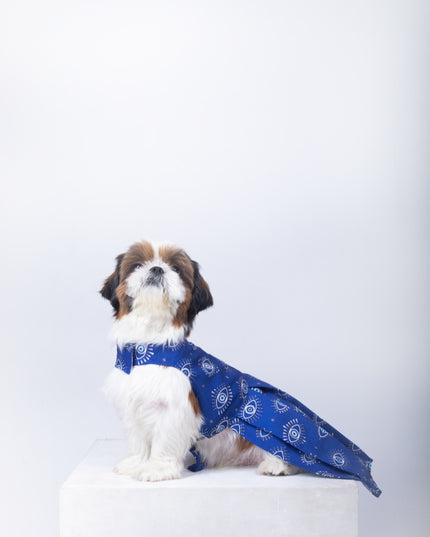 Evil Eye Dog Dress