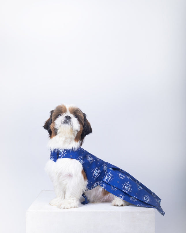 Evil Eye Dog Dress