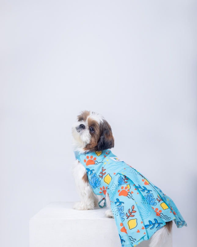 Monstera Tropical Dog Dress