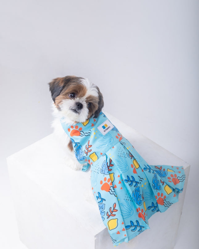 Monstera Tropical Dog Dress