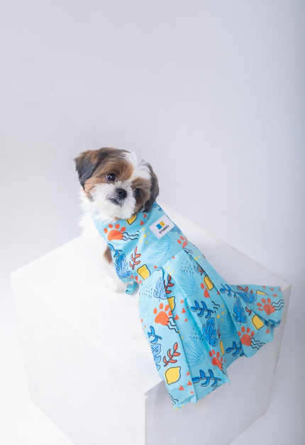 Monstera Tropical Dog Dress