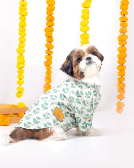 HARIYALI DOG KURTA