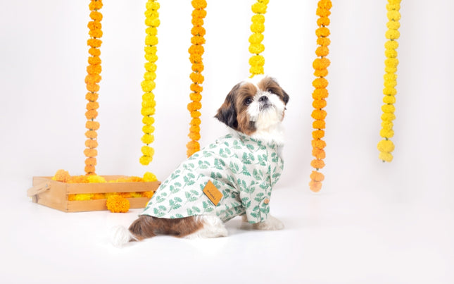 HARIYALI DOG KURTA