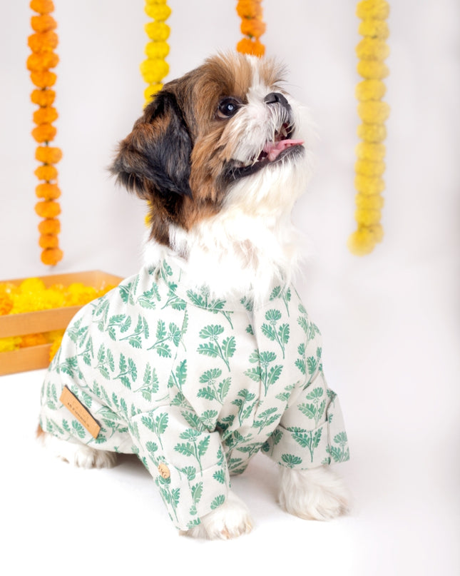 HARIYALI DOG KURTA