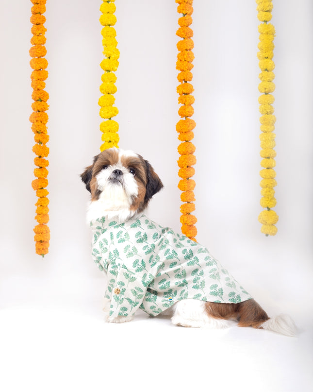 HARIYALI DOG KURTA