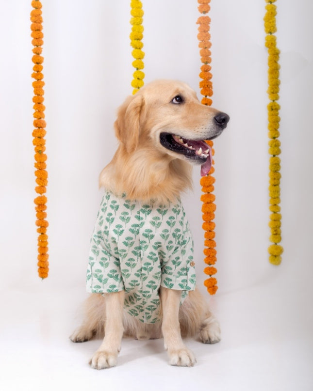 HARIYALI DOG KURTA