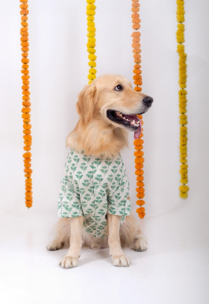 HARIYALI DOG KURTA