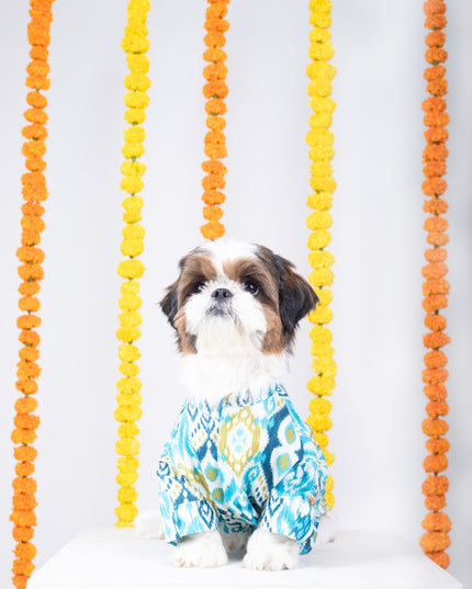 NAWAB DOG KURTA