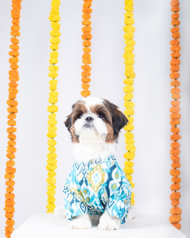 NAWAB DOG KURTA