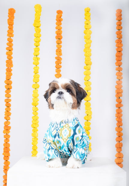 NAWAB DOG KURTA