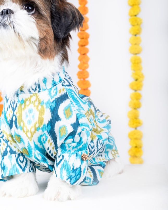 NAWAB DOG KURTA