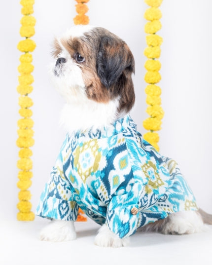 NAWAB DOG KURTA