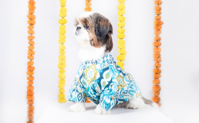 NAWAB DOG KURTA
