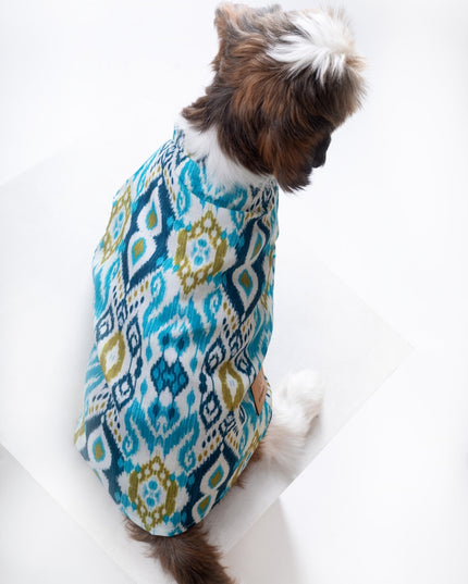 NAWAB DOG KURTA