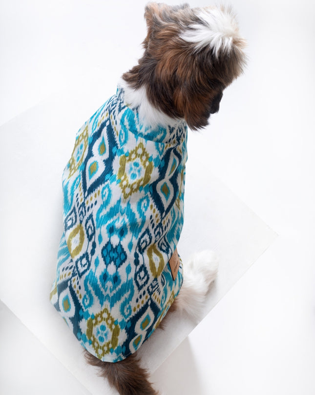 NAWAB DOG KURTA