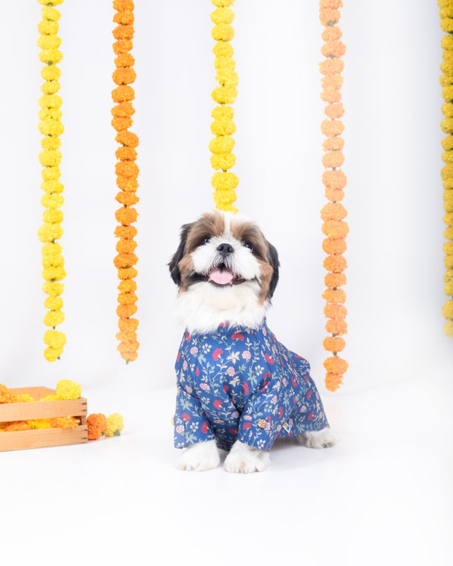 BAGEECHA DOG KURTA