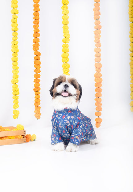 BAGEECHA DOG KURTA