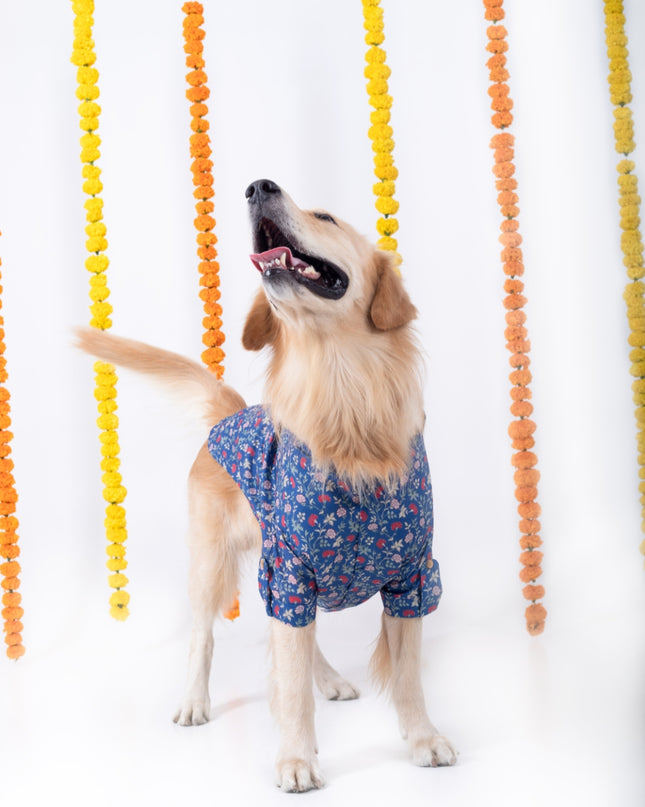 BAGEECHA DOG KURTA