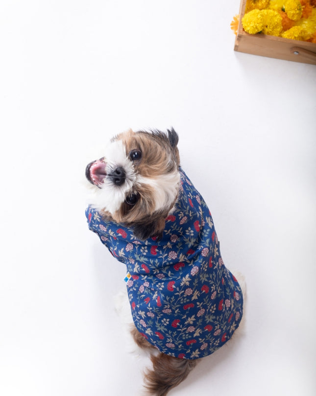 BAGEECHA DOG KURTA