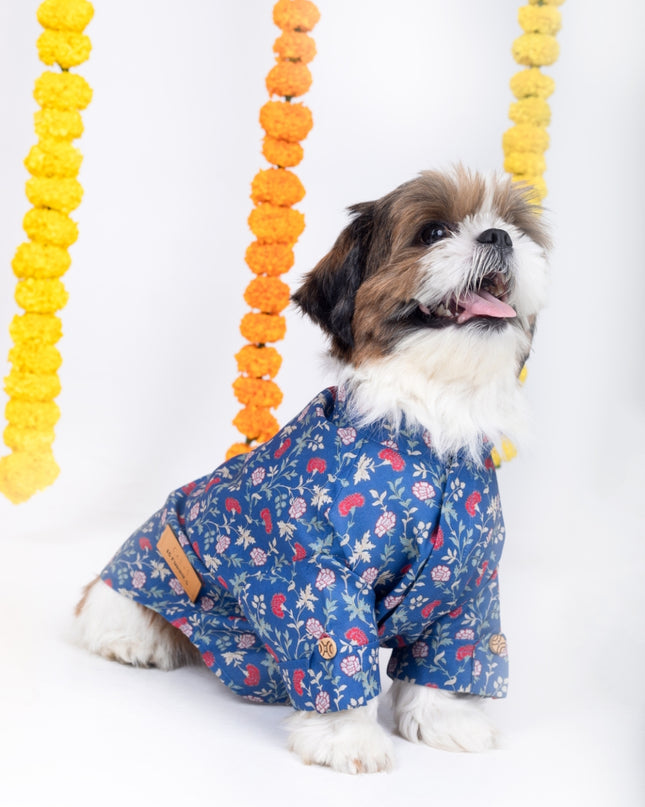 BAGEECHA DOG KURTA
