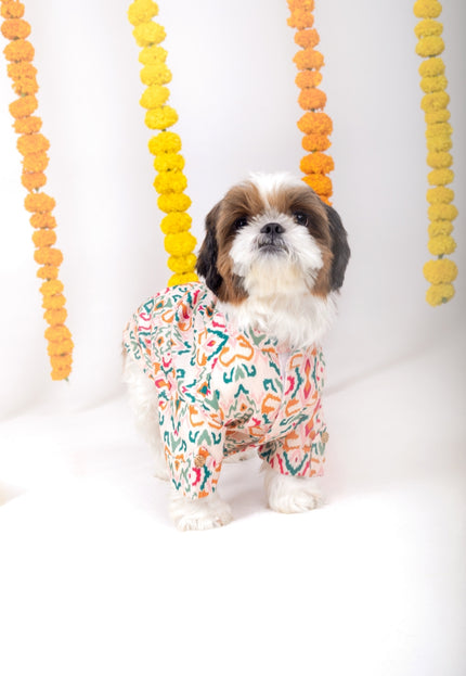 RANGEELA DOG KURTA