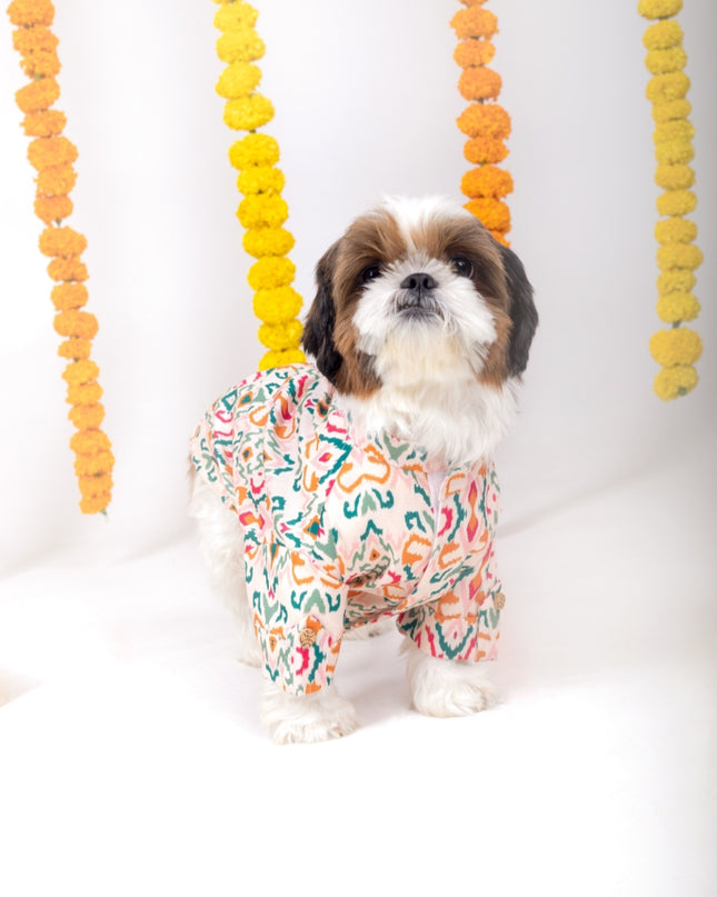 RANGEELA DOG KURTA