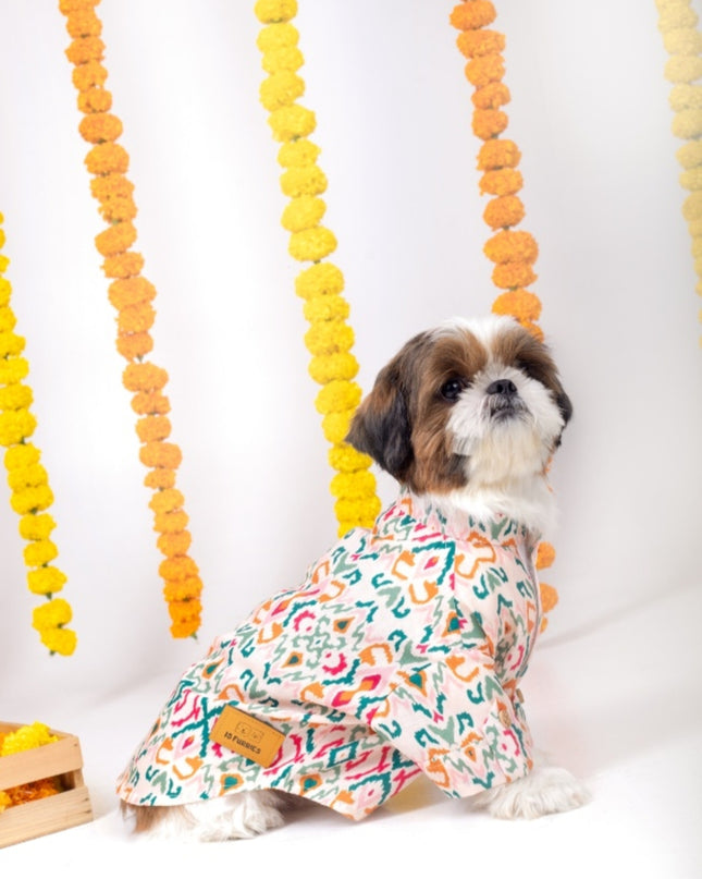RANGEELA DOG KURTA