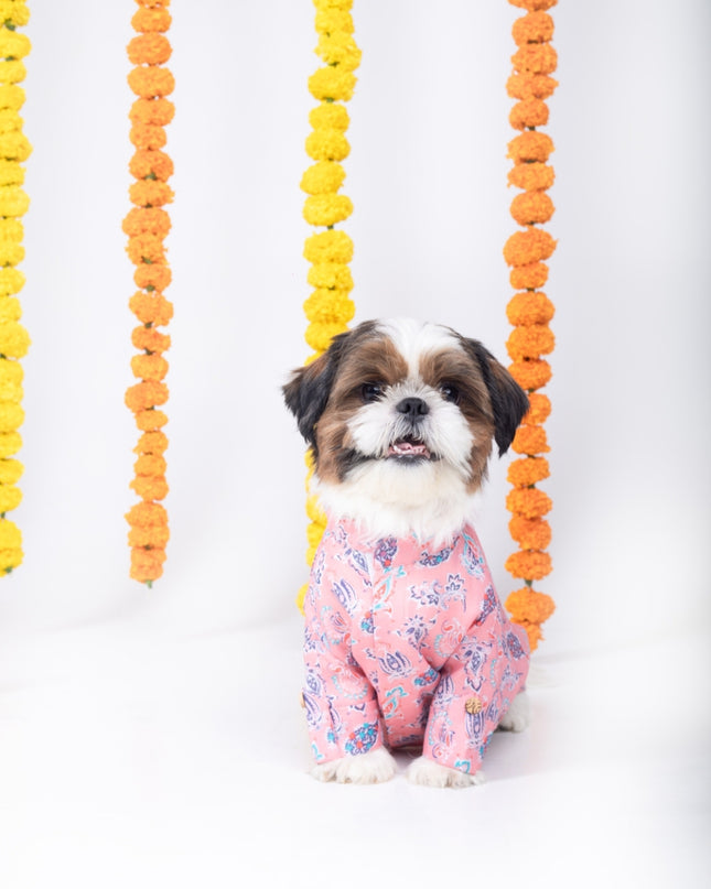 UTSAV DOG KURTA