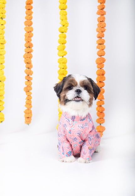 UTSAV DOG KURTA