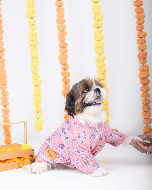 UTSAV DOG KURTA