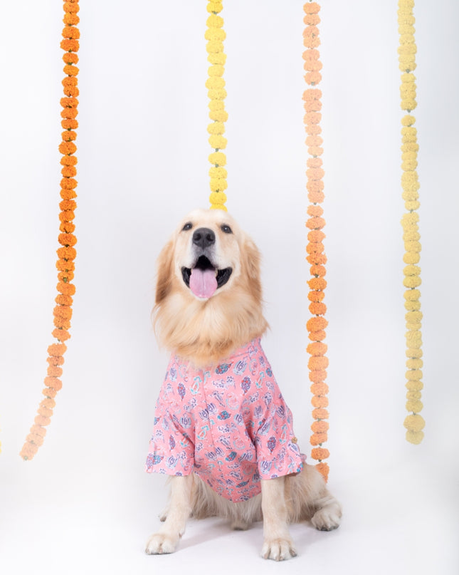 UTSAV DOG KURTA