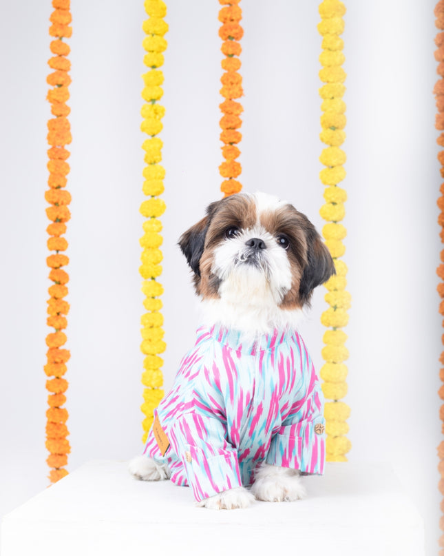 PHATAKA DOG KURTA