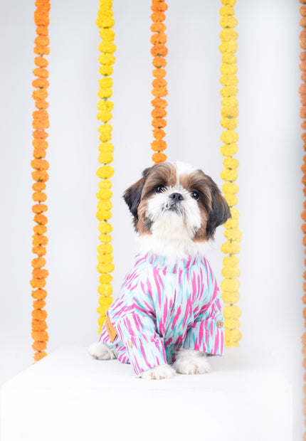 PHATAKA DOG KURTA