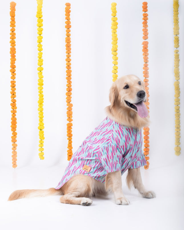 PHATAKA DOG KURTA